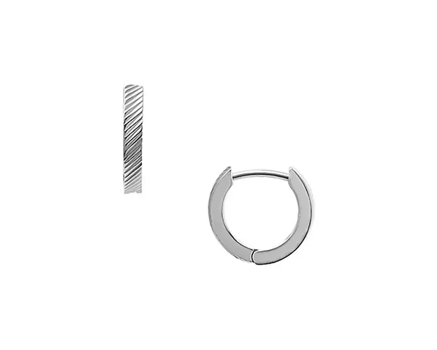 Fossil cercei JF04772040
