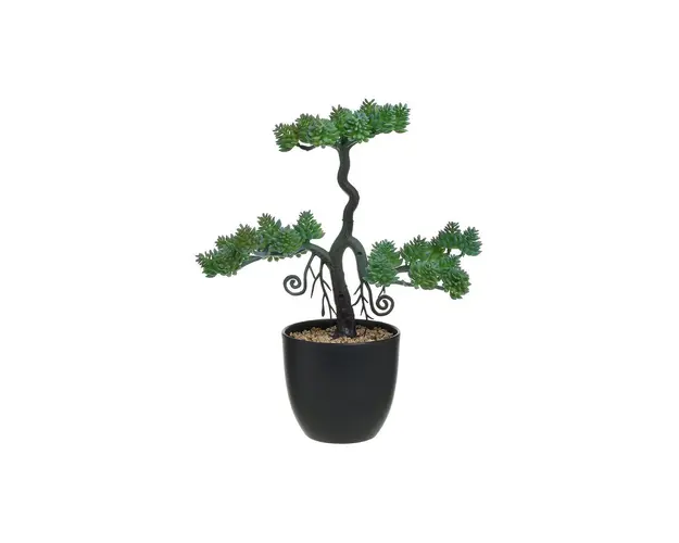 Copac artificial intr-un ghiveci