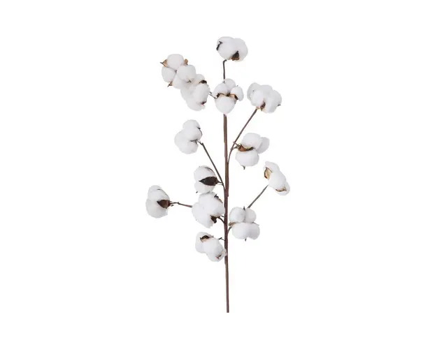 Boltze Crenguta artificiala Baumwolle