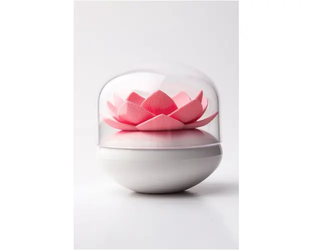 Qualy recipient pentru betisoare de urechi