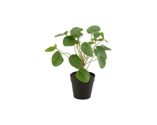J-Line planta artificiala in ghiveci