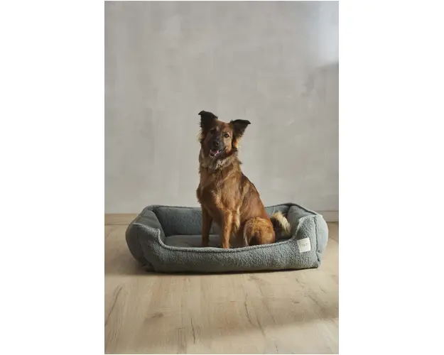 Calma House pat pentru animale de companie Henry