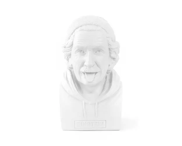 Donkey pusculita Einstein