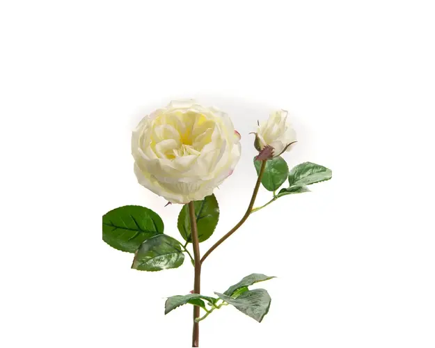 home & lifestyle flori artificiale