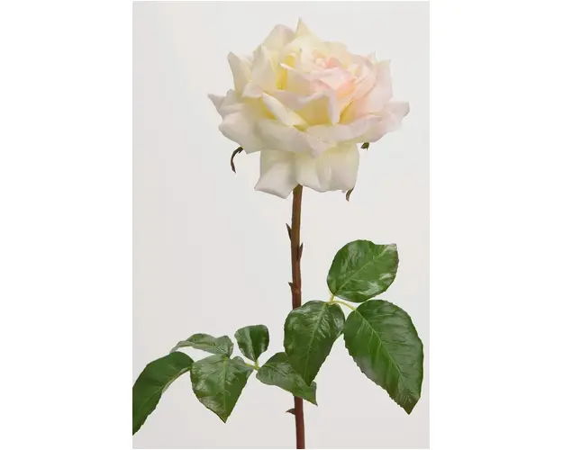 home & lifestyle flori artificiale