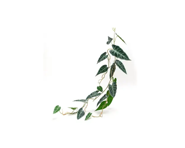 home & lifestyle planta artificiala