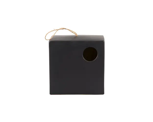 Present Time Colivie