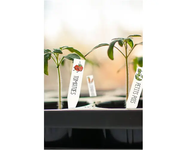 Graine Creative Kit de etichete pentru plante DIY Crazy Plastic Kit