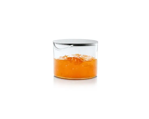Blomus recipient cu capac Basic
