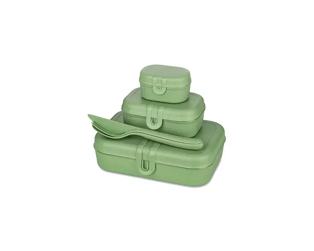 Koziol lunchbox Pascal Ready Organic