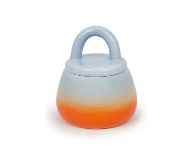 Helio Ferretti castron de zahar