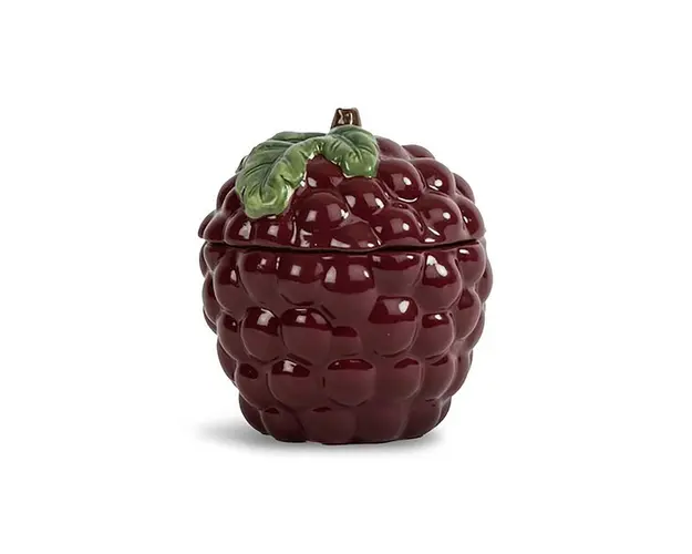 Byon recipient cu capac Bowl Grape