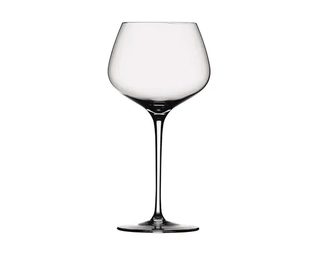 Spiegelau set de pahare de vin Anniversary Burgundy 4-pack