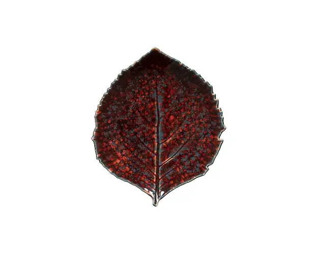 Costa Novaset de farfurii Riviera Hydrangea 22 cm