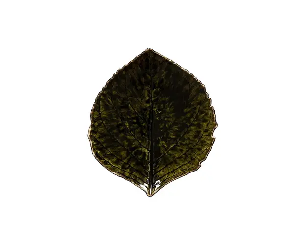 Costa Novaset de farfurii Riviera Hydrangea 17 cm 6-pack