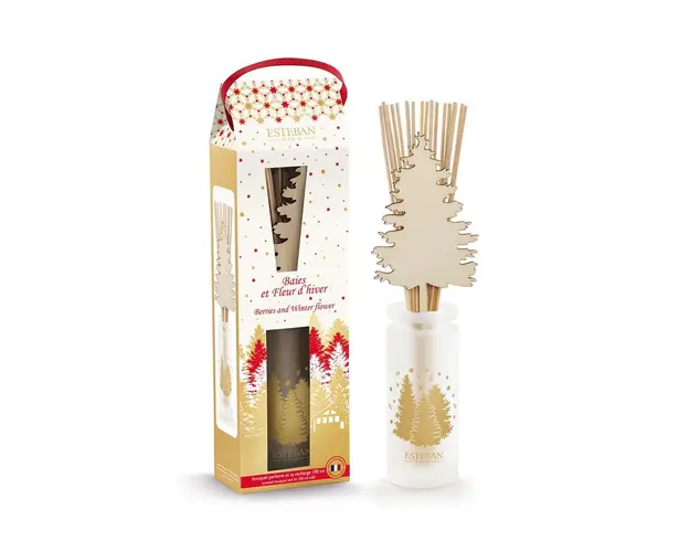 Esteban difuzor de arome Berries and Winter Flower 100 ml