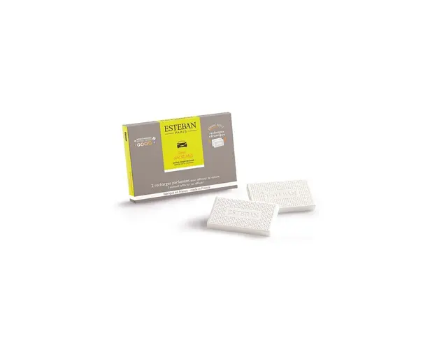 Esteban insert difuzor auto Terre dAgrumes 2-pack