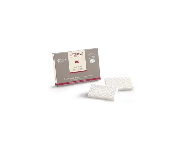 Esteban insert difuzor auto Esprit de thé 2-pack