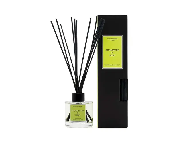 Cereria Molla difuzor de arome Eucalyptus and Mint 100 ml