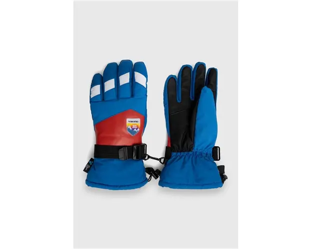 Viking manusi Brother Louis