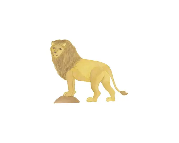 That's mine covoras de joaca