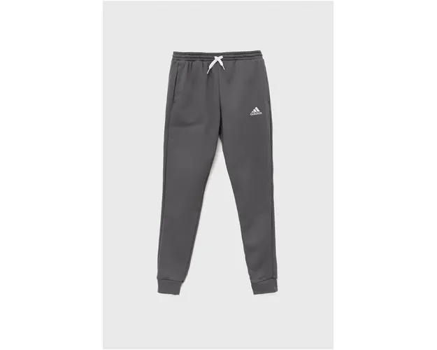 adidas Performance pantaloni de trening pentru copii ENT22 SW PNTY culoarea gri, neted