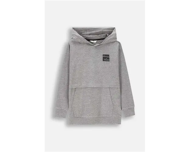 Coccodrillo bluza copii culoarea gri, cu gluga, cu imprimeu, EVERYDAY BOY