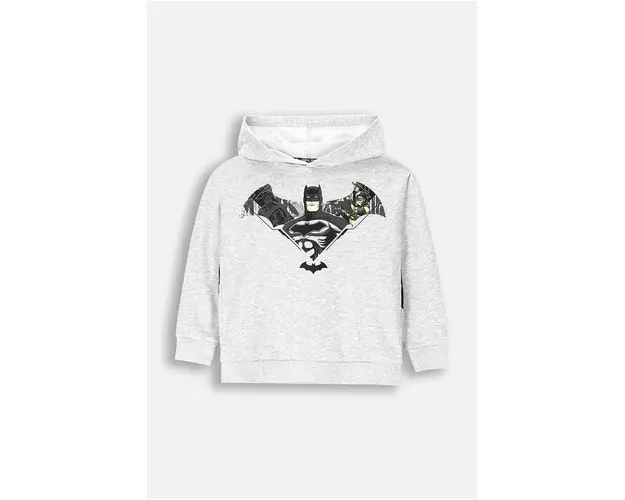 Coccodrillo bluza copii culoarea gri, cu gluga, cu imprimeu, LICENCE BOY WARNER BROS