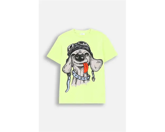 Coccodrillo tricou de bumbac pentru copii culoarea verde, cu imprimeu, EVERYDAY BOY