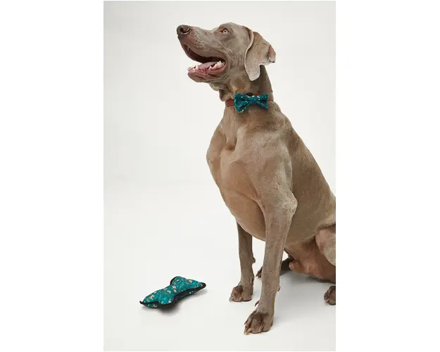 Medicine jucarie pentru un animal de companie