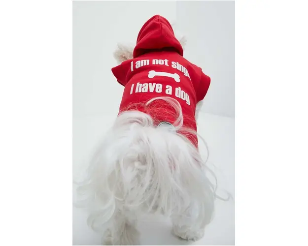 Medicine hanorac pentru un animal de companie