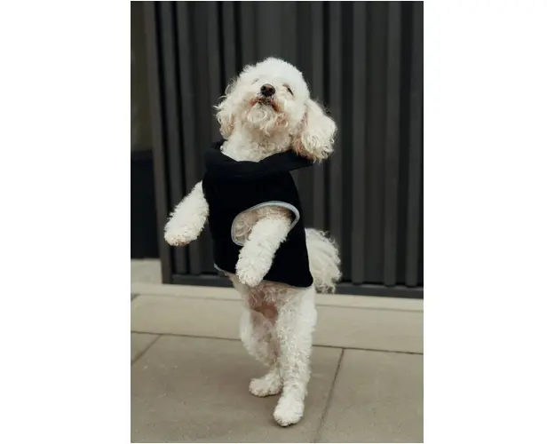 Medicine jacheta pentru animale de companie