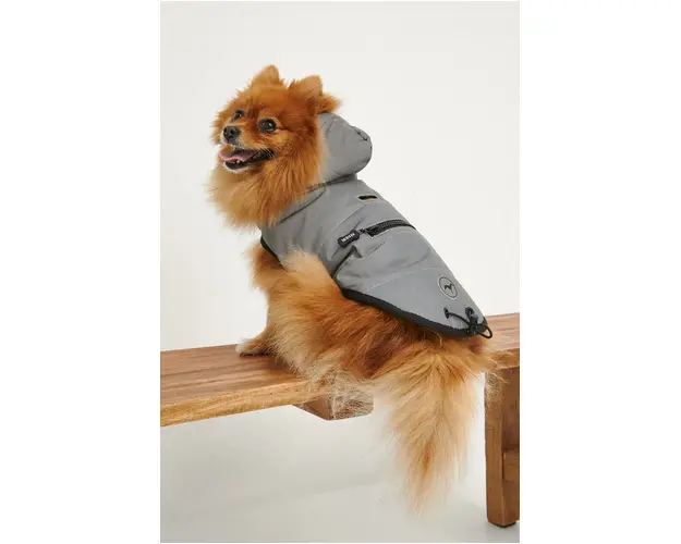 Medicine jacheta pentru animale de companie