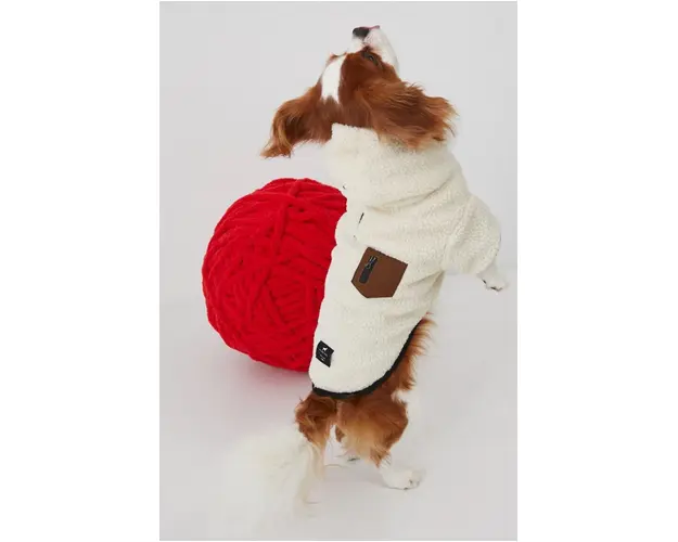 Medicine jacheta pentru un animal de companie