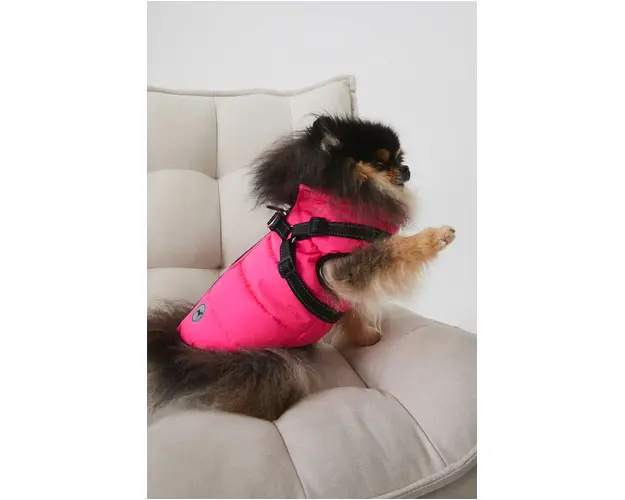 Medicine jacheta pentru un animal de companie