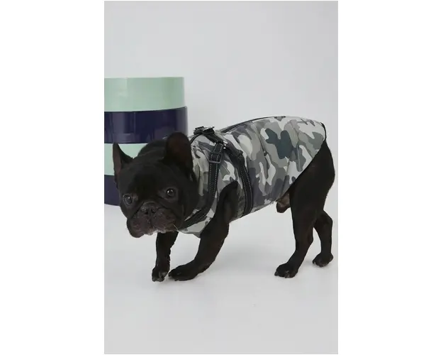 Medicine jacheta pentru un animal de companie