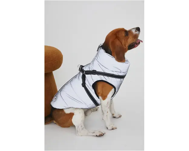 Medicine jacheta pentru un animal de companie