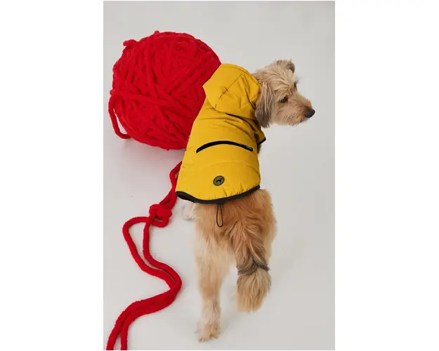 Medicine jacheta pentru un animal de companie