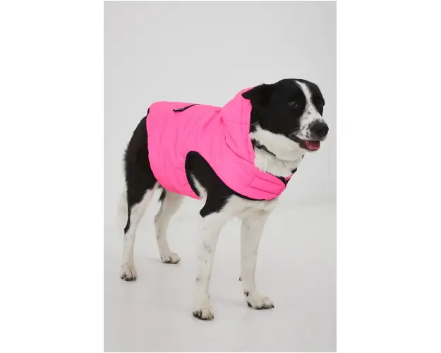 Medicine jacheta pentru un animal de companie