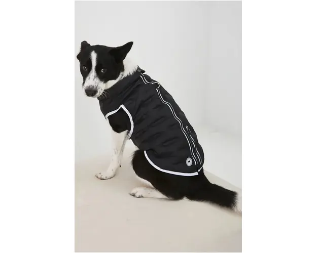Medicine jacheta pentru un animal de companie