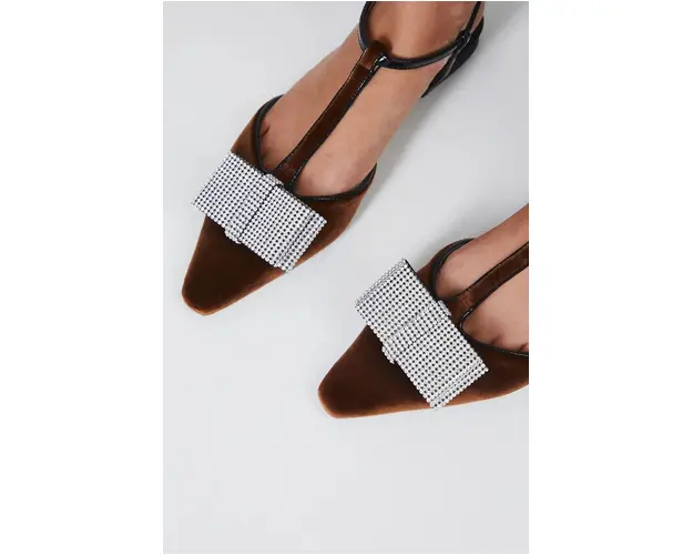 Medicine balerini culoarea maro