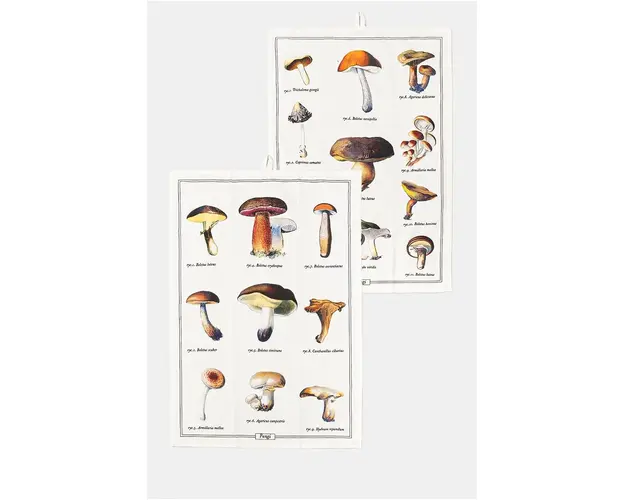 Medicine lavete de bucatarie din bumbac 2-pack