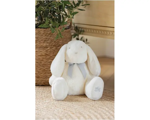 Tartine et Chocolat mascota