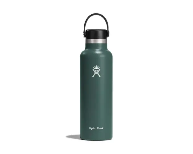 Hydro Flask sticla termica 21 Oz Standard Flex Cap Fir culoarea gri, S21SX332