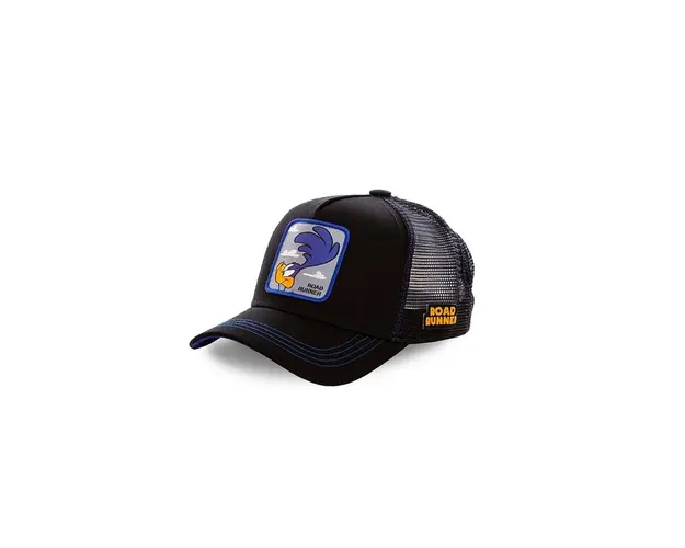 Capslab sapca