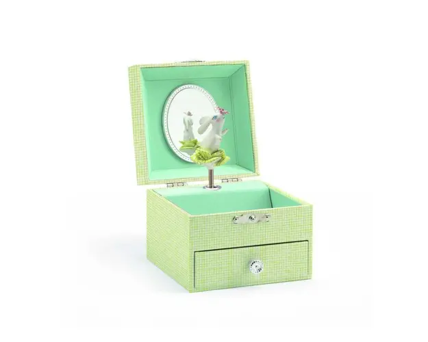 Cutie muzicala Iepuras, Djeco