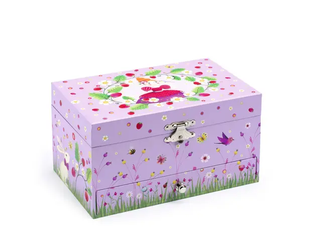 Cutie muzicala Printesa, Djeco