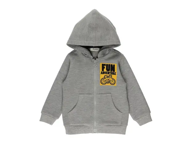 Hanorac cu gluga si fermoar PANCO - Fun Adventure, Gri, pentru baietei