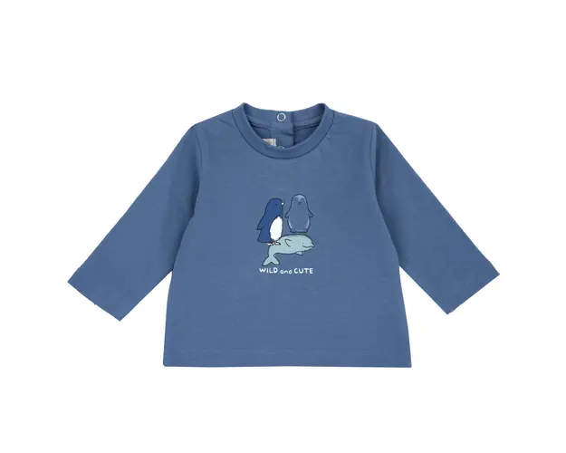 TRICOU M.L., 62