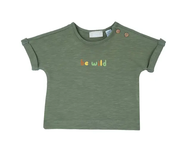 Tricou copii Chicco, Verde Deschis, 05426-66MFCO
